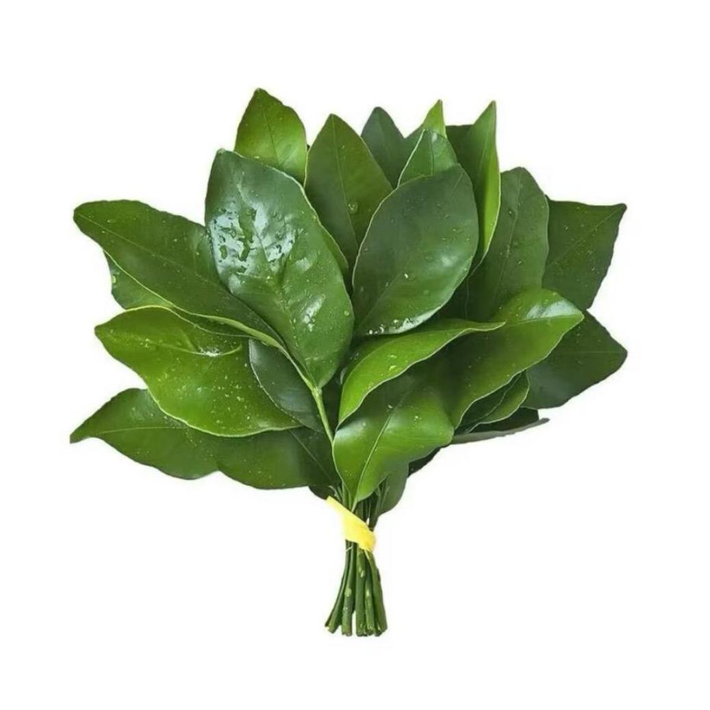 爱喝茶的张大姐