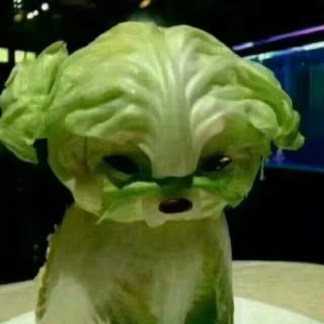 孤独的雨夜