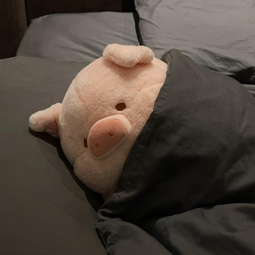 十七吃不饱🍚🍚