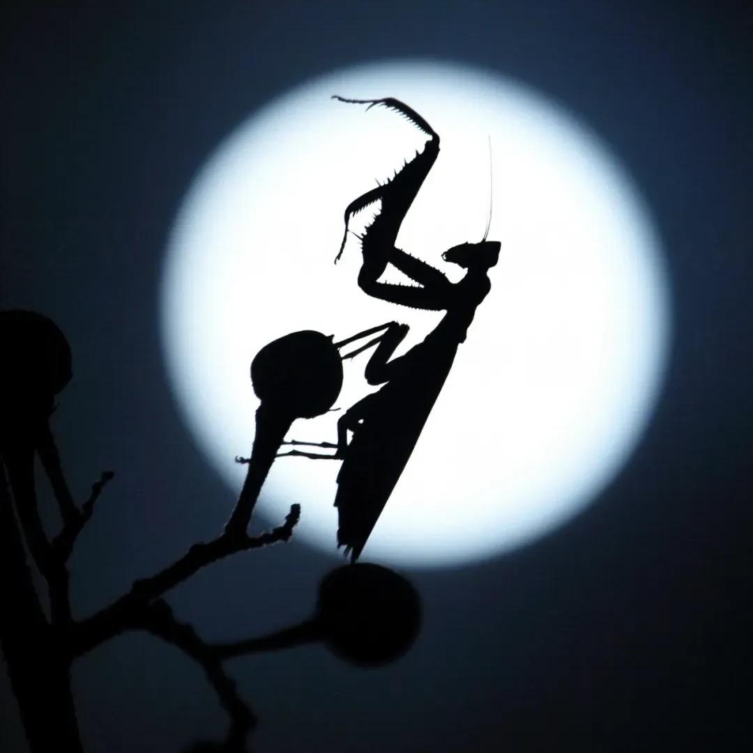 -阿斌