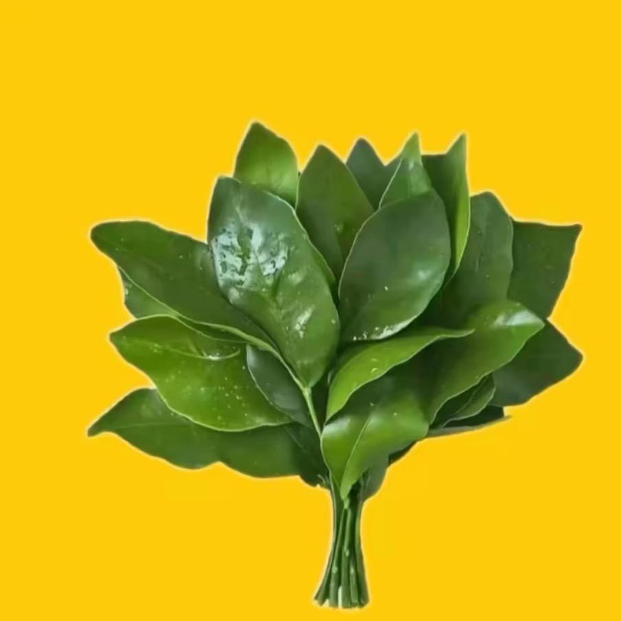 🍃