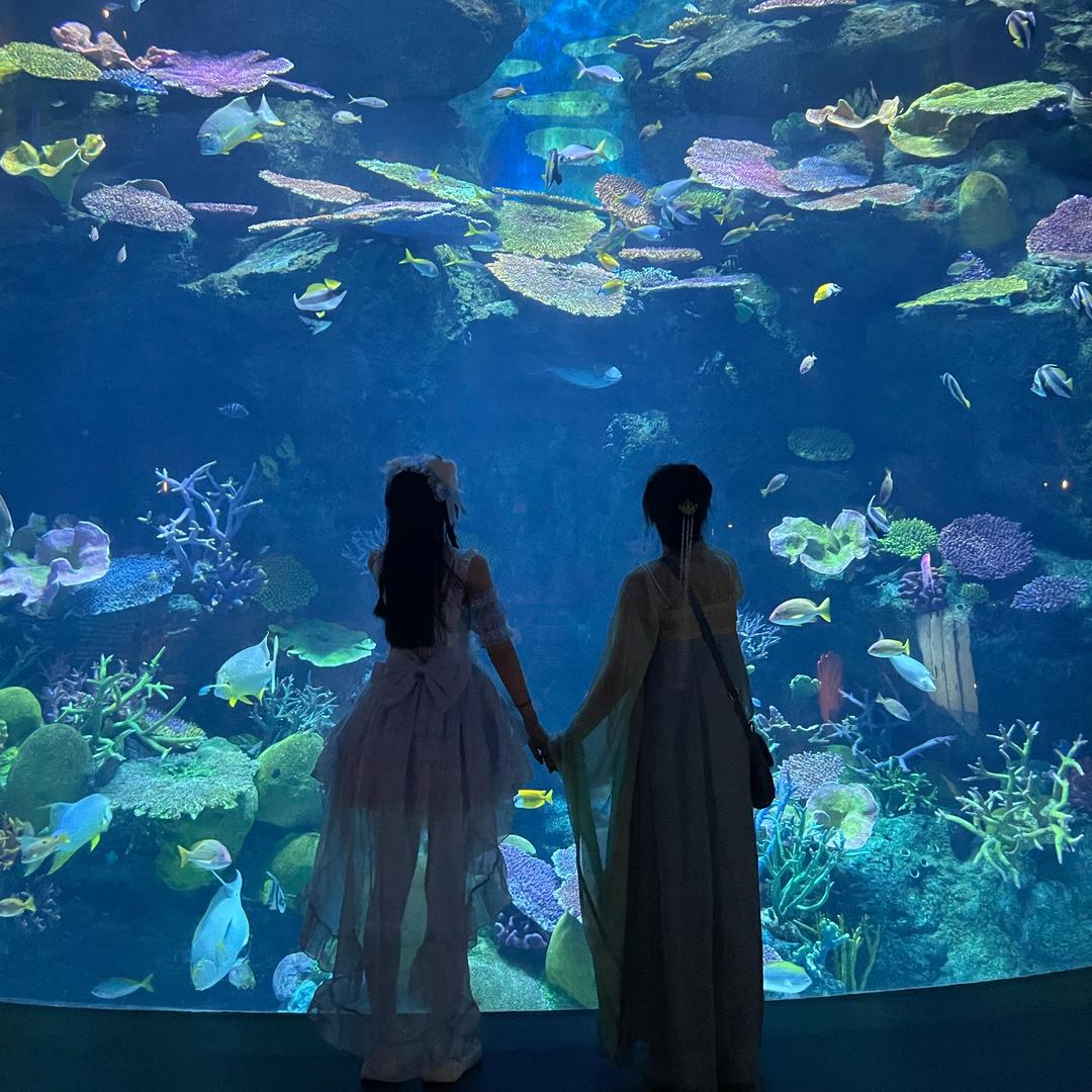 炫彩脚后跟🌈（见过BKPP版）