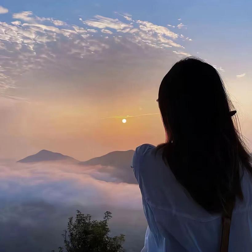 小呆呆的宝藏屋