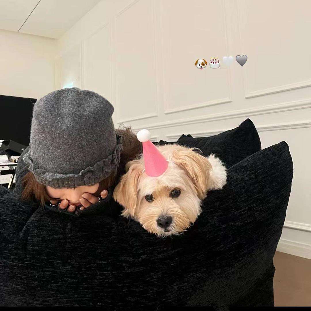 𝙈𝙚𝙤𝙧𝙤𝙡𝙡