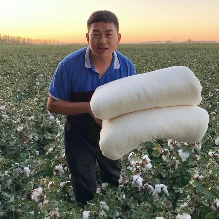新疆特产六哥