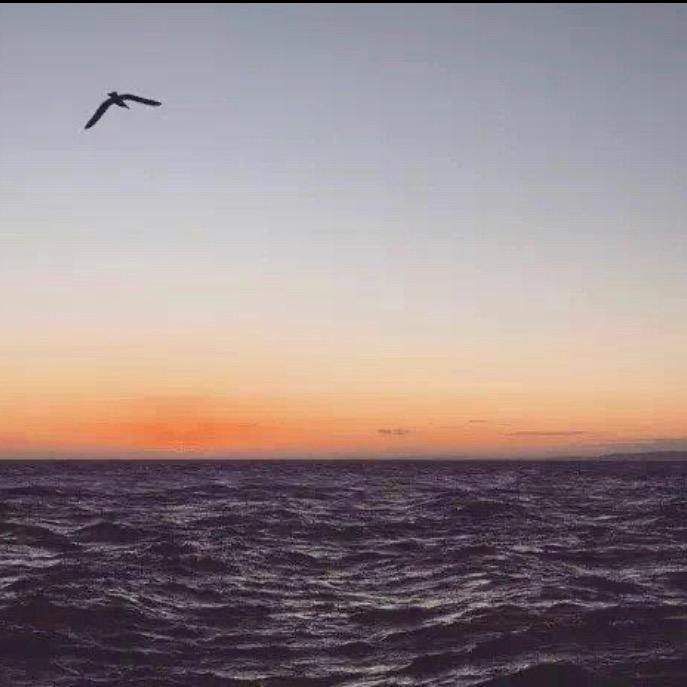 浪子野心