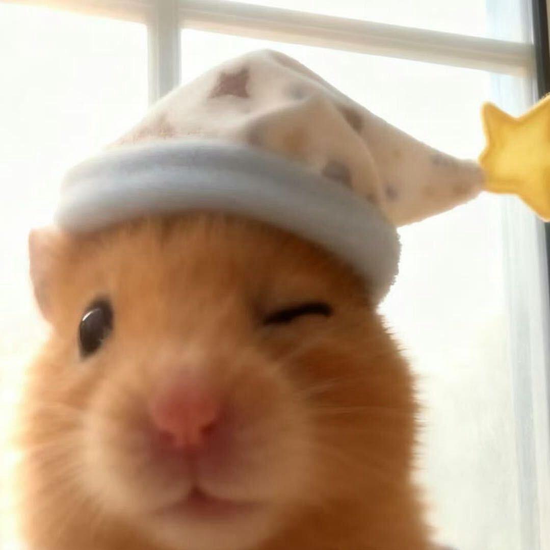 什么萌