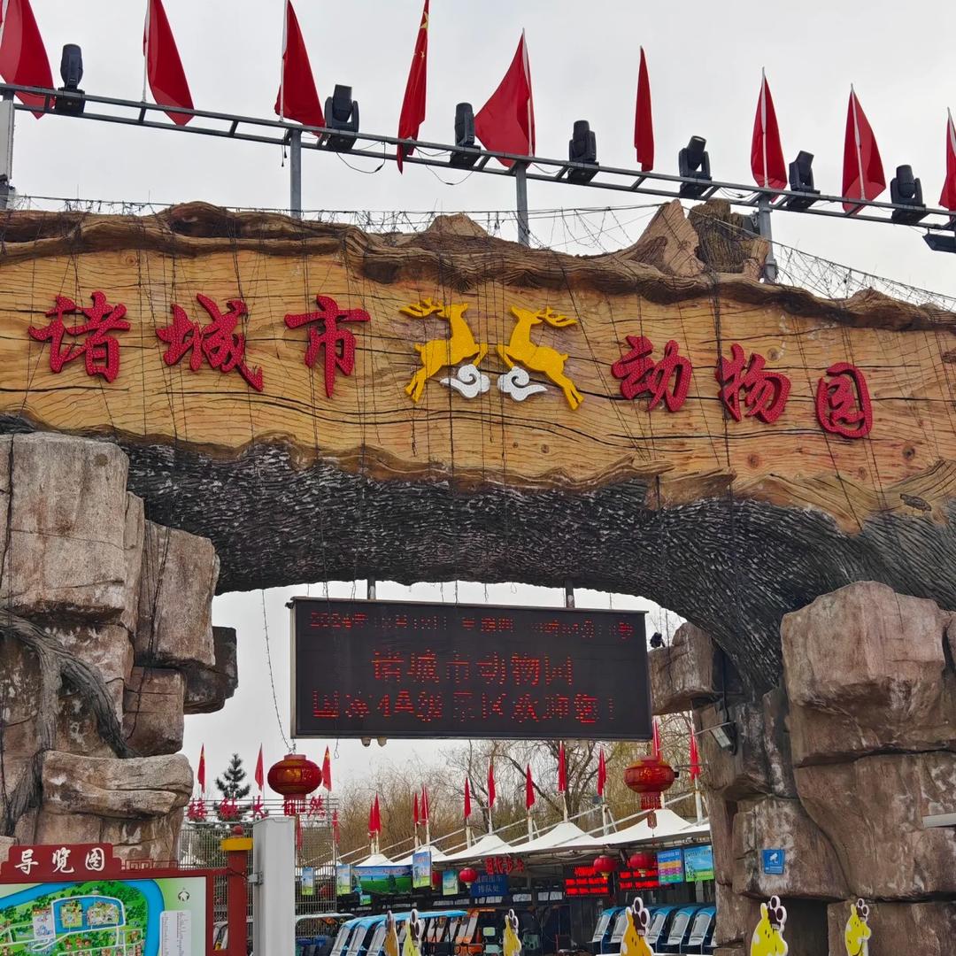 潍坊诸城动物园(丽丽)