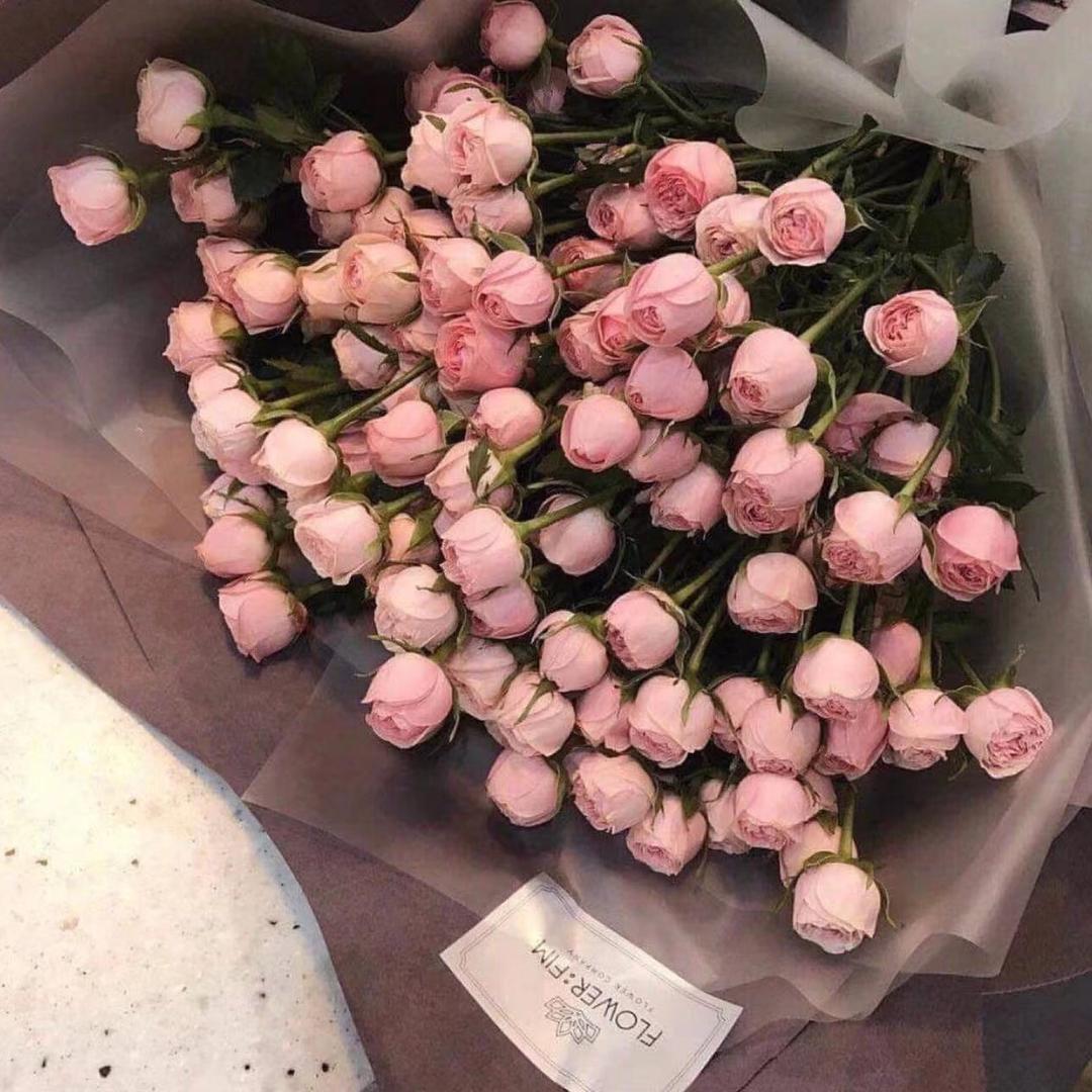 𝓛𝓾𝓬𝓴𝔂 •🌷