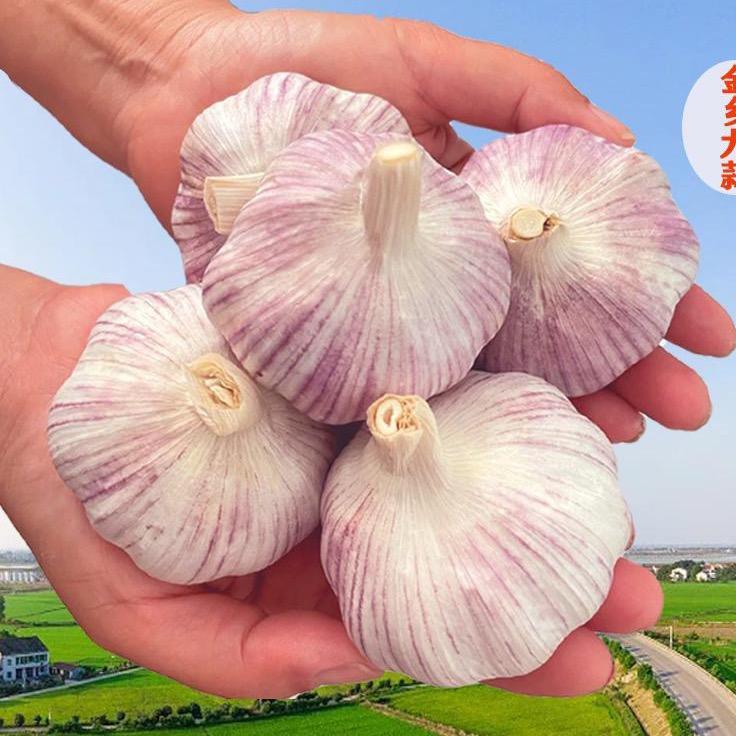 醉美蒜乡企业店