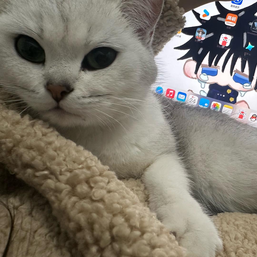 塔塔知道你的故事