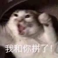 麦当劳在逃薯饼🤪