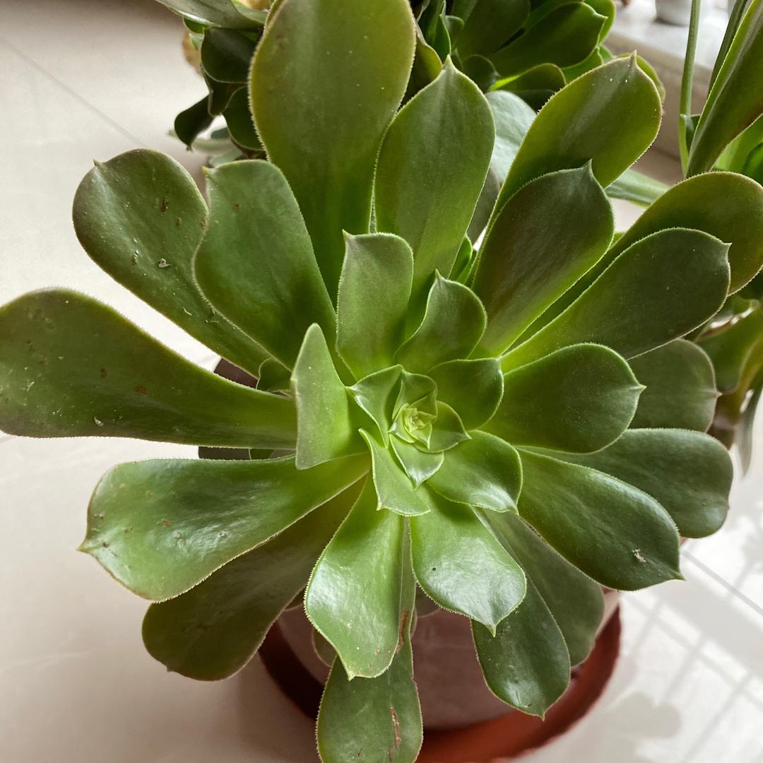悠