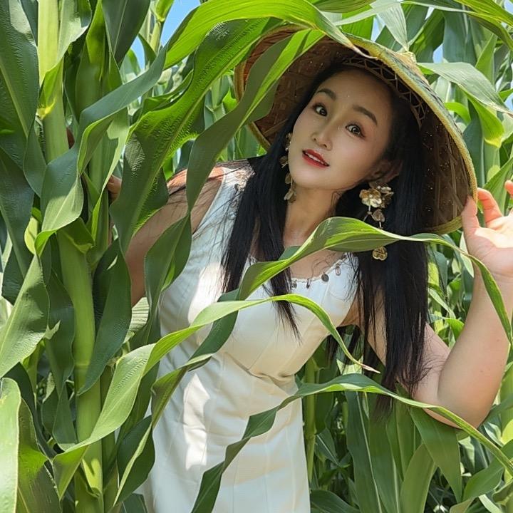 贝多多