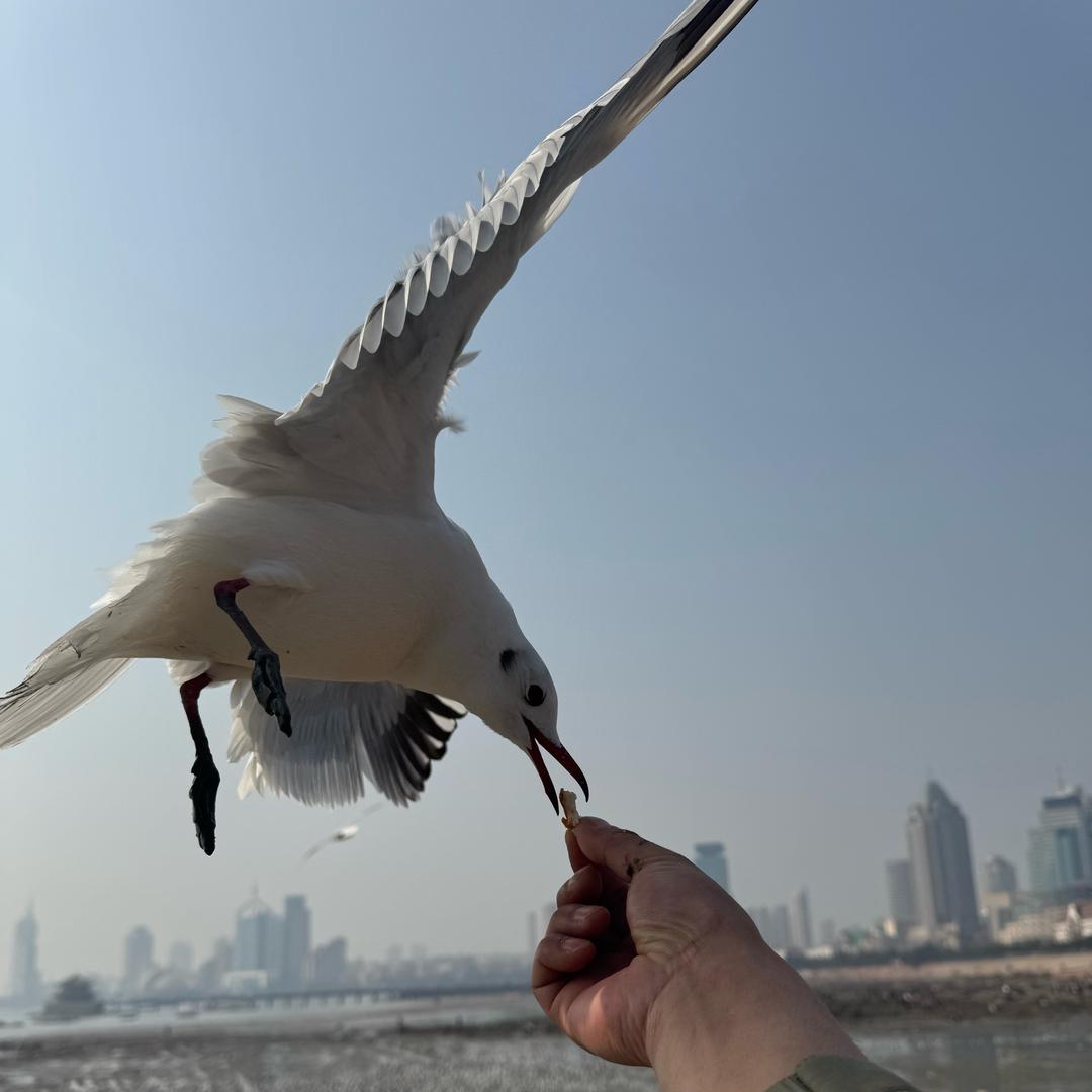 想你的味道