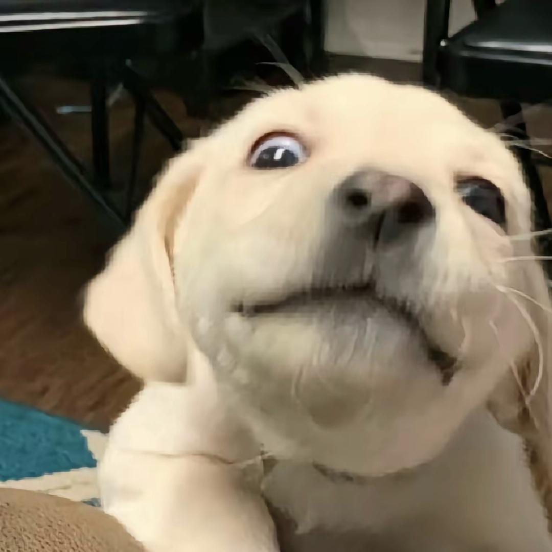嘉儿