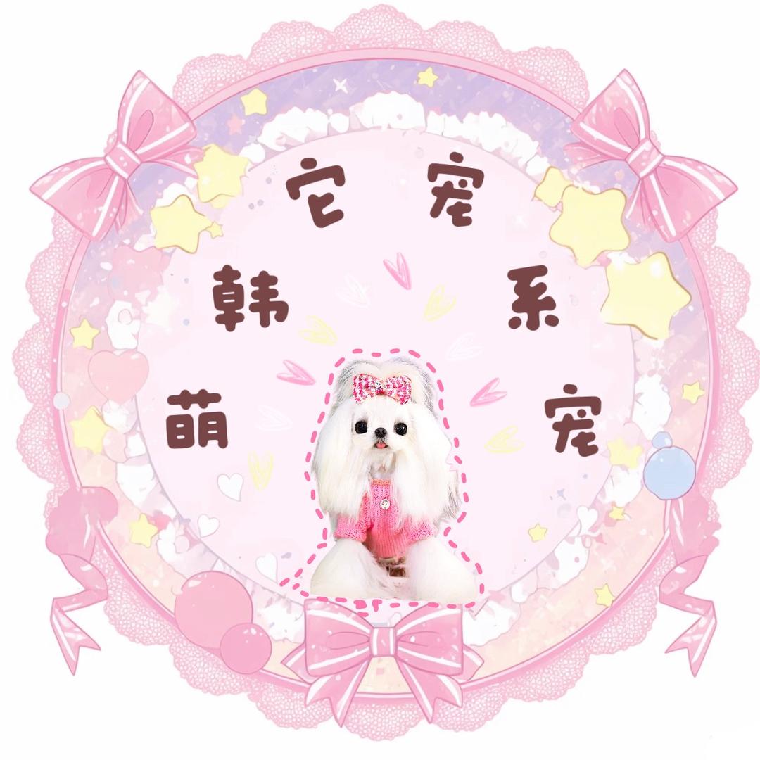 它宠韩系萌宠.马尔济斯