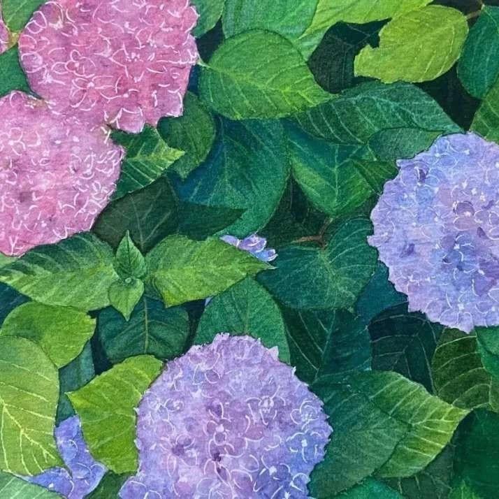 灼灼其华