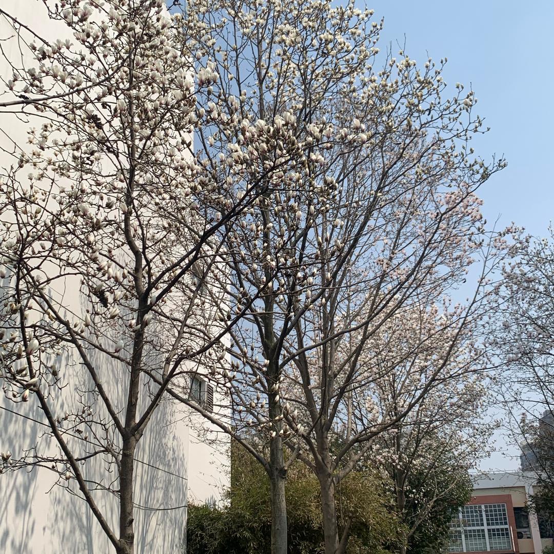 杰的朋友圈