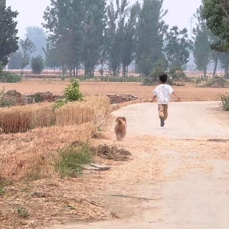 不知名（三角洲行动）