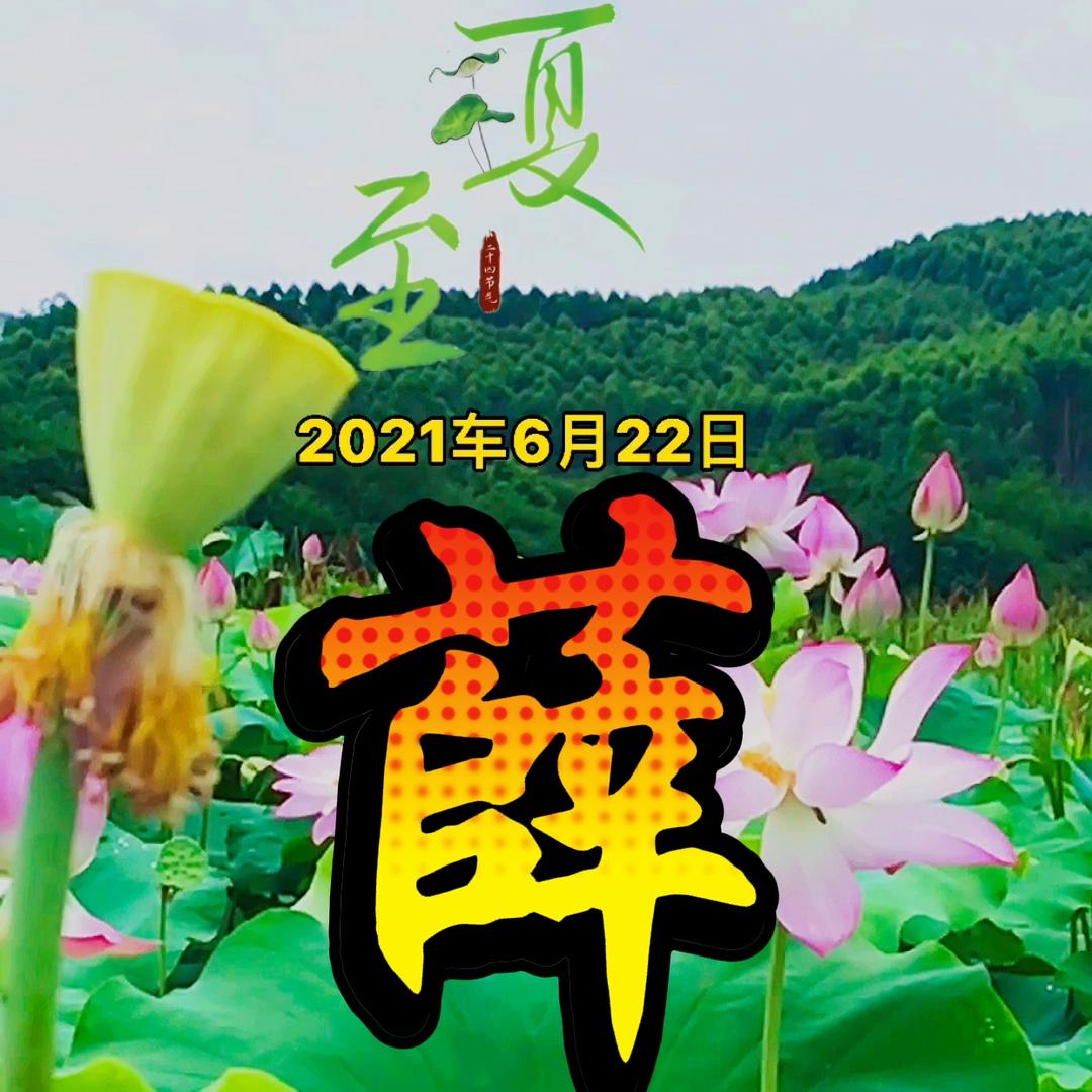 坚哥（手机摄影）