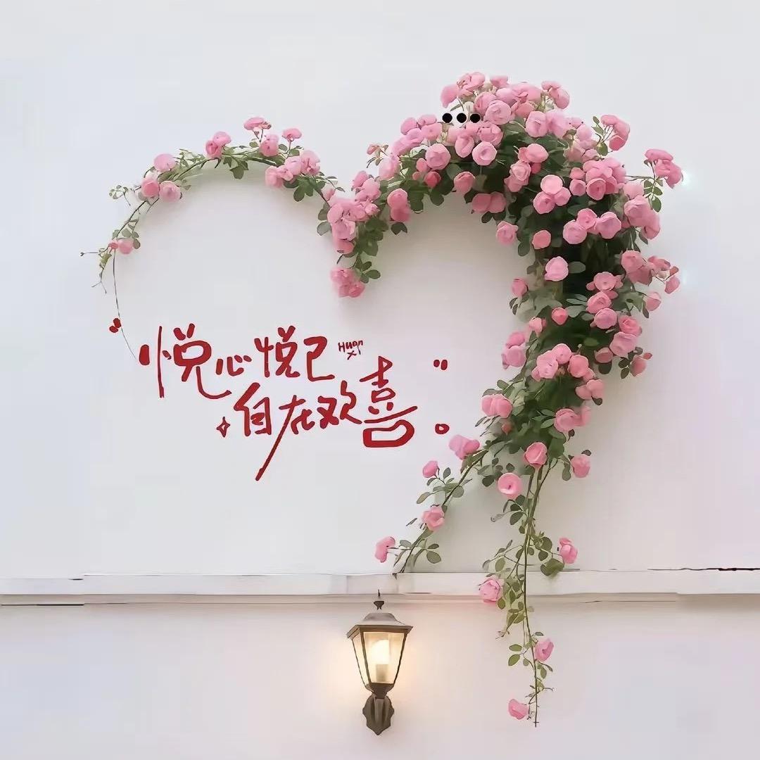 唐僧念经我不听🙉