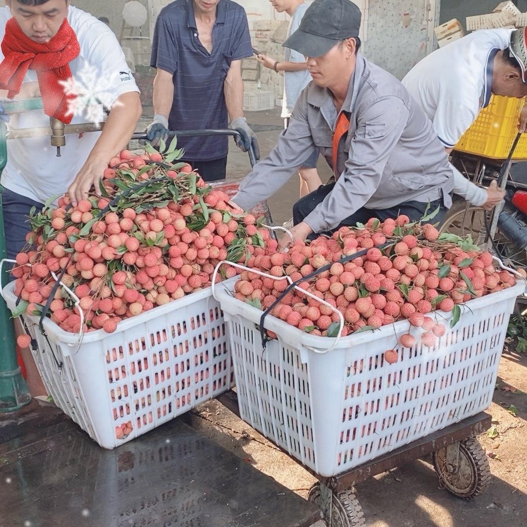 阿妹在助农