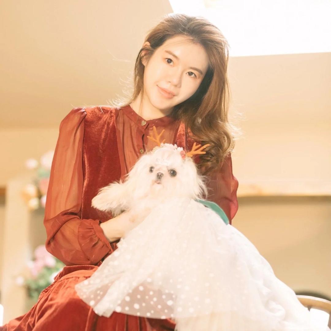 阳哥家的萌宠（马尔济斯 约克夏）