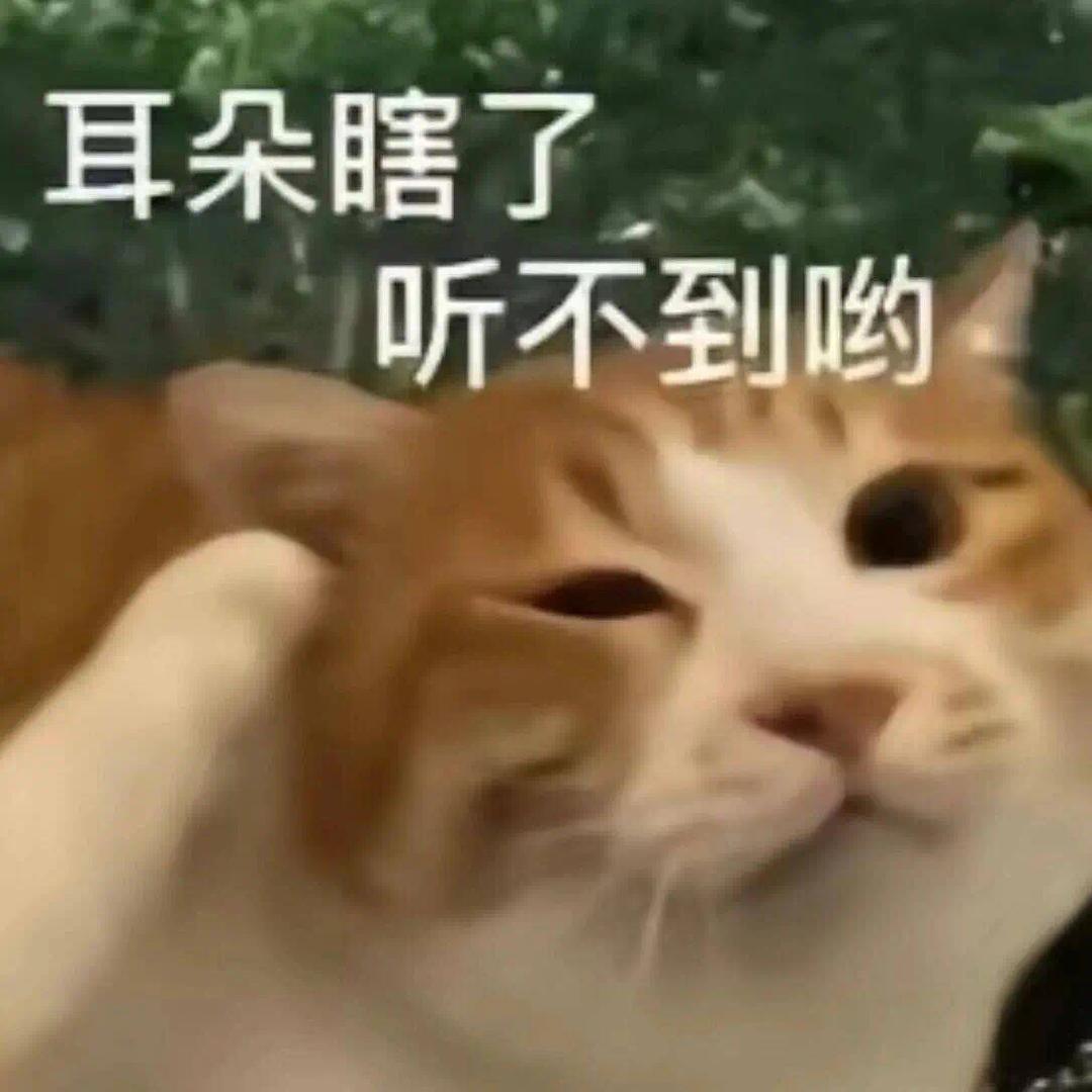 斯乌爱