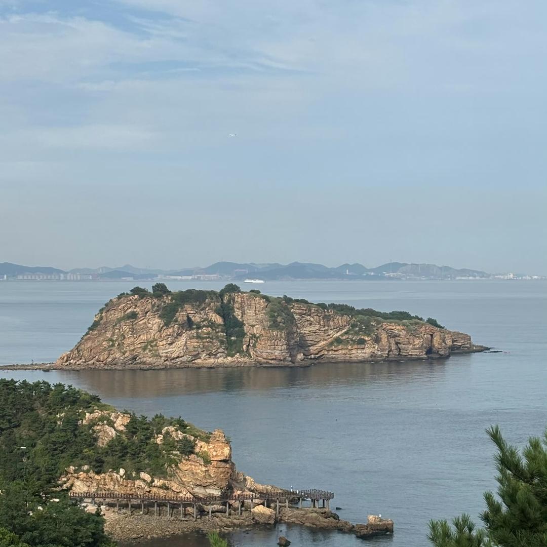 燕子畅游
