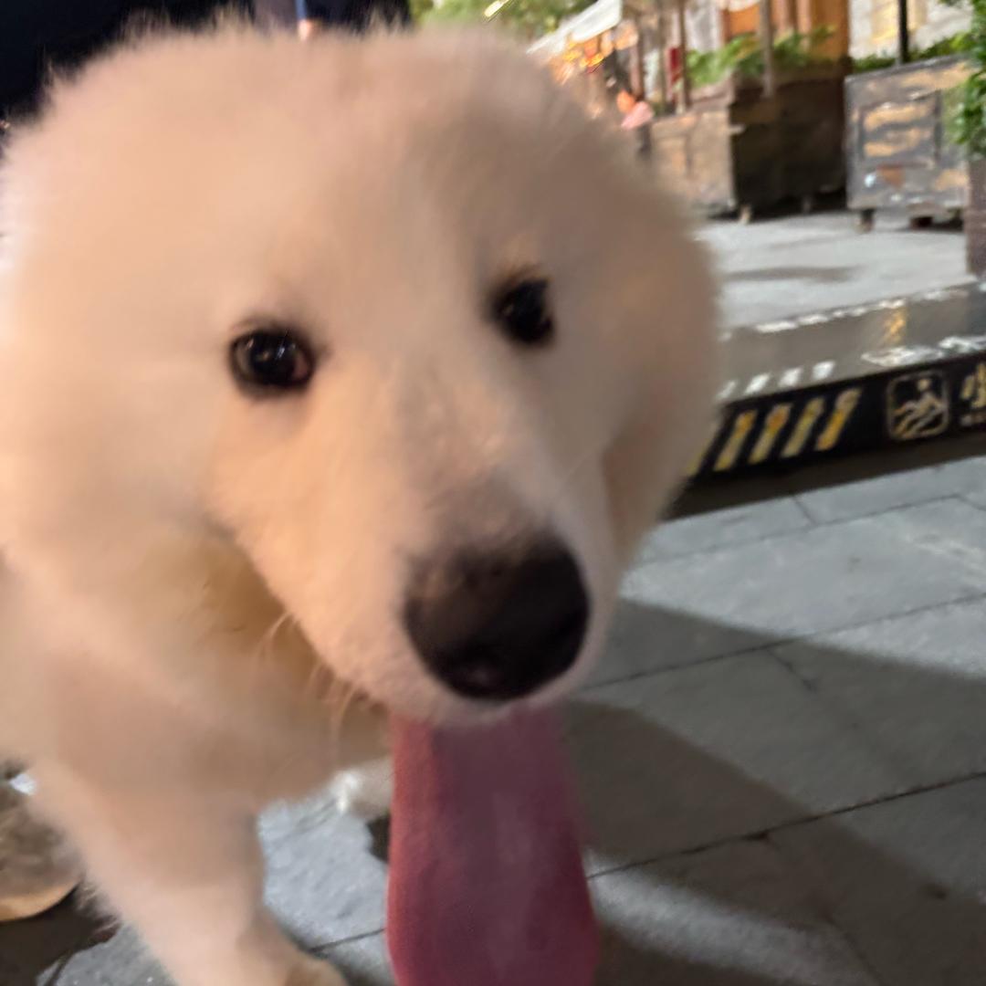 一A乙了