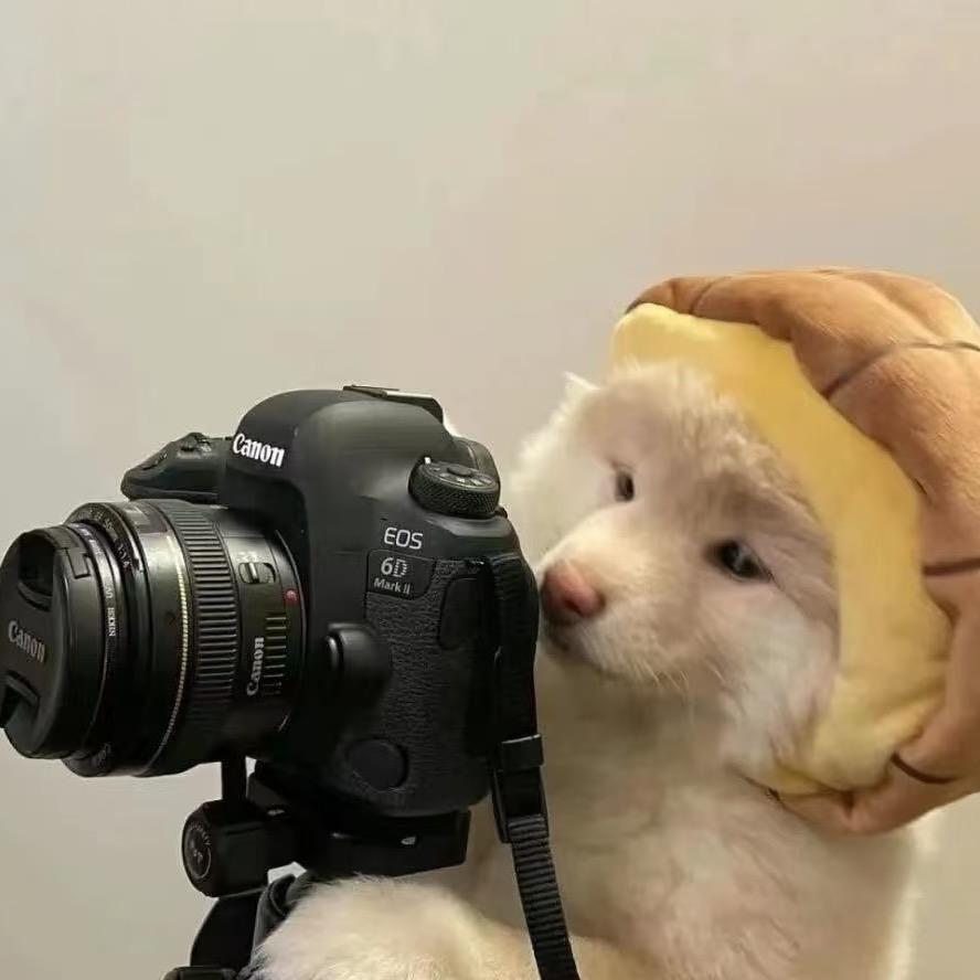 汤姆.双面沸小虎