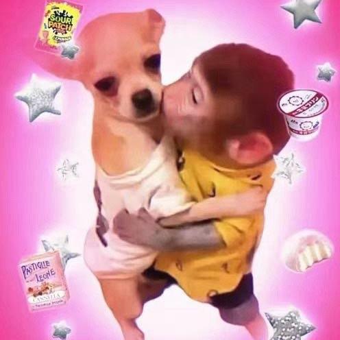 军中战狼刘梓晨