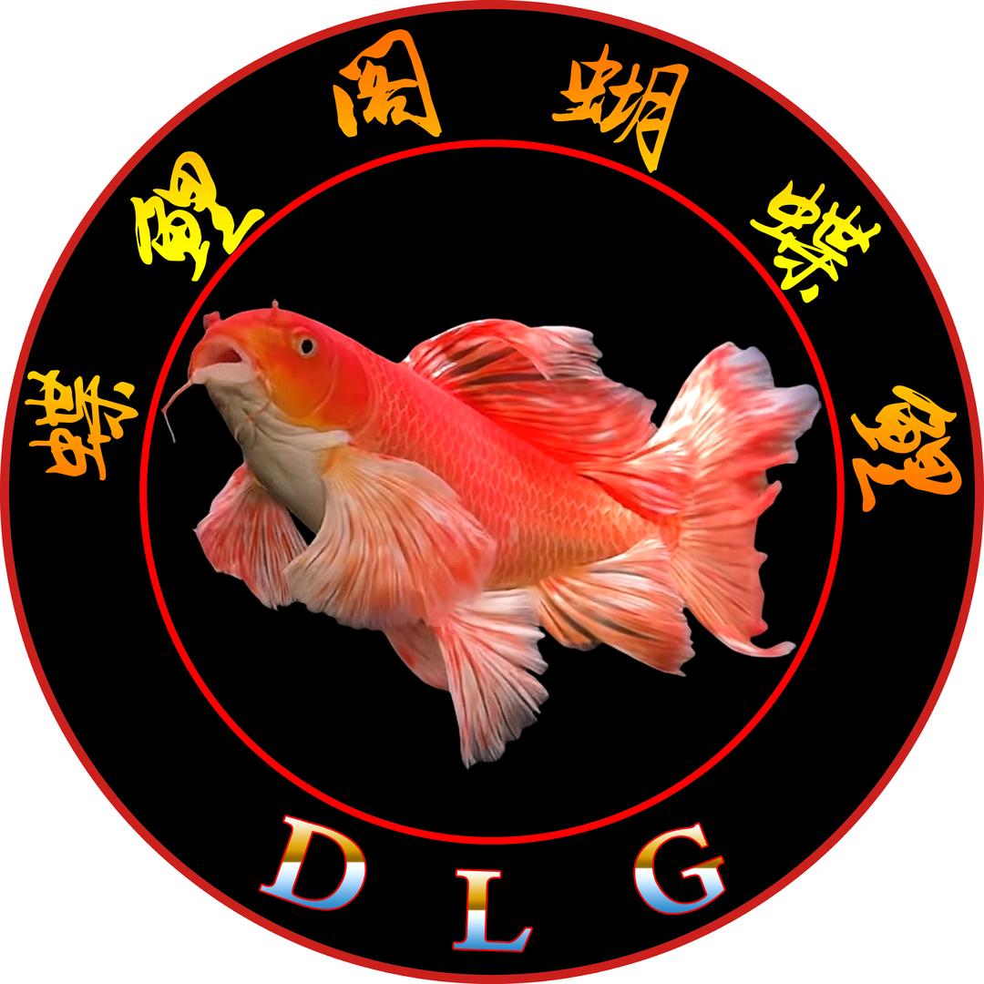 蝶鲤阁蝴蝶鲤