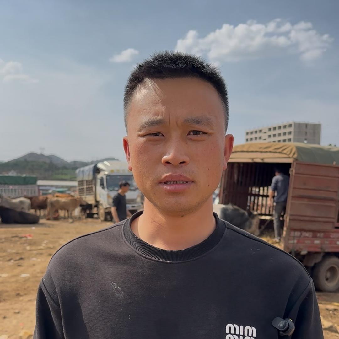 贵州小赵-易牛牧业