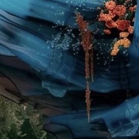 师羽