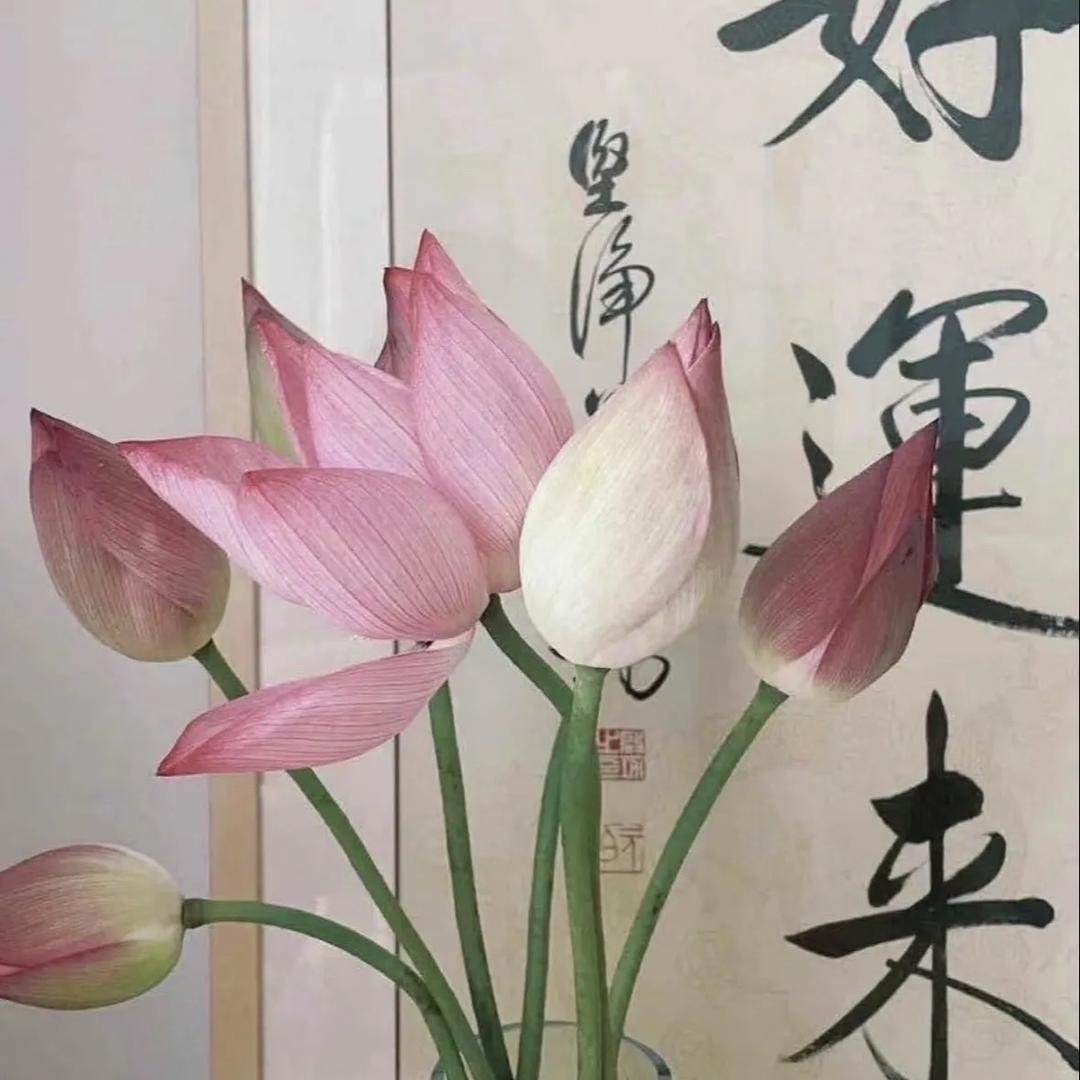 海阔天晴