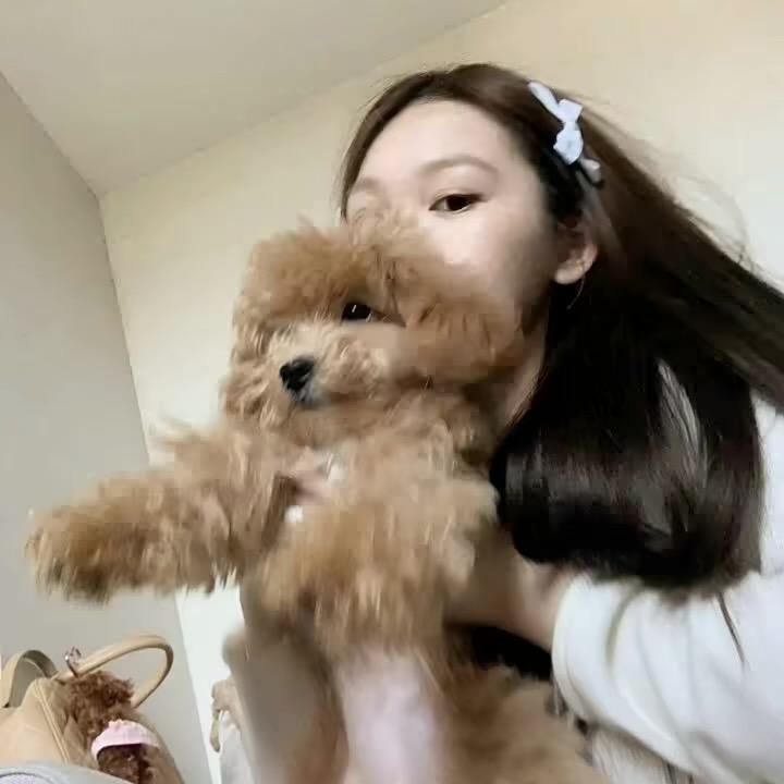 🐰