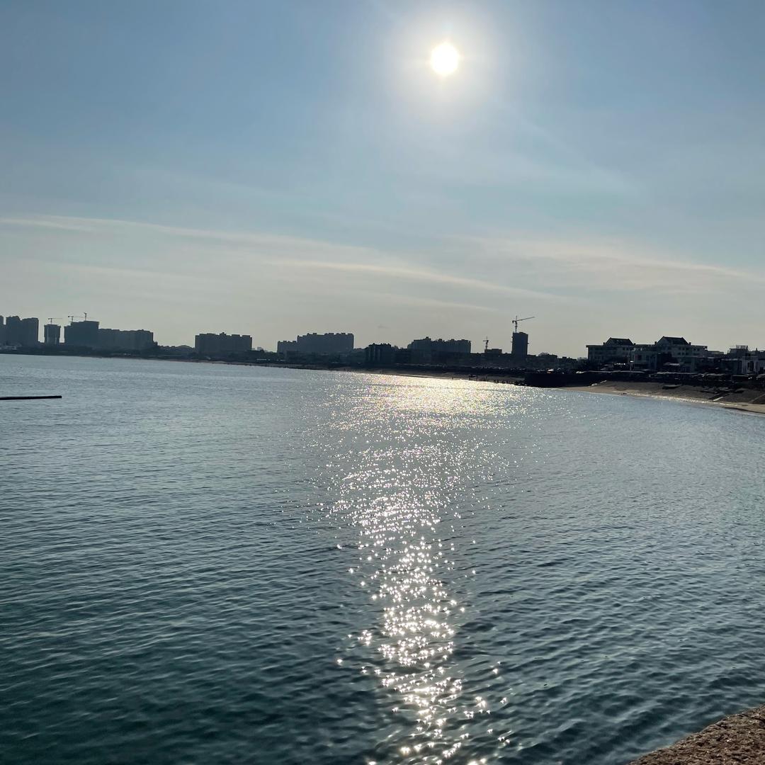 还会再回来，小白