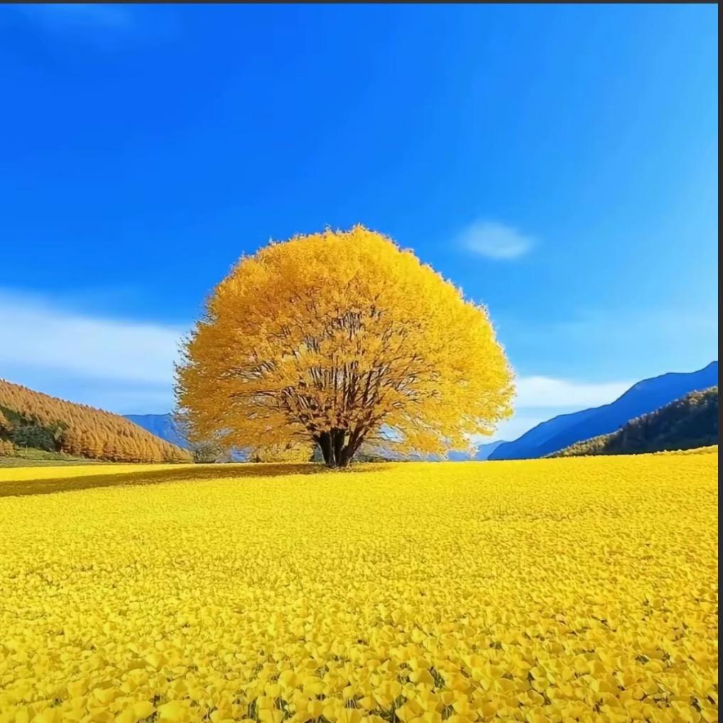 在水一方