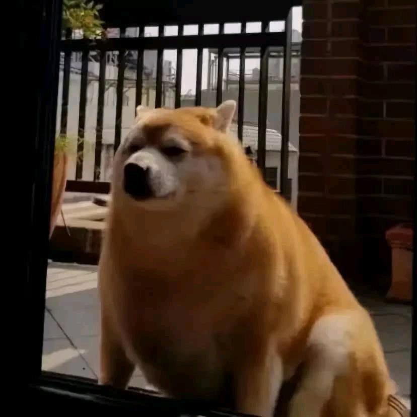 hgh
