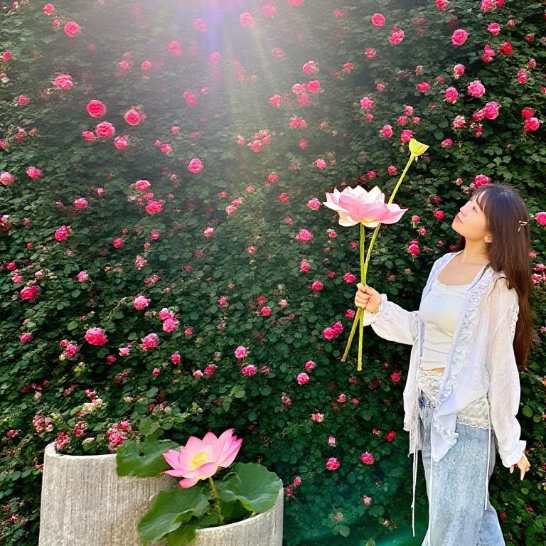 花花的心事