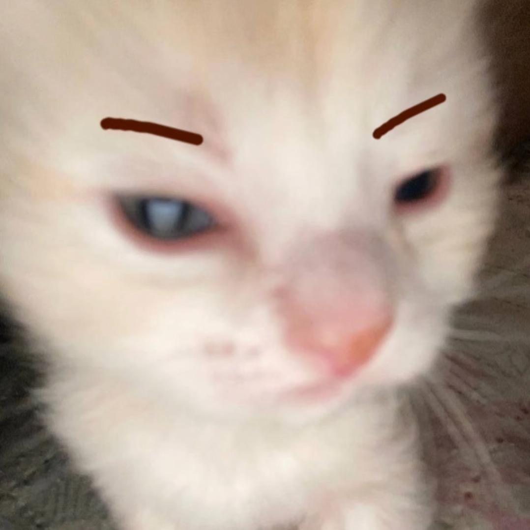 猪神顶呱呱