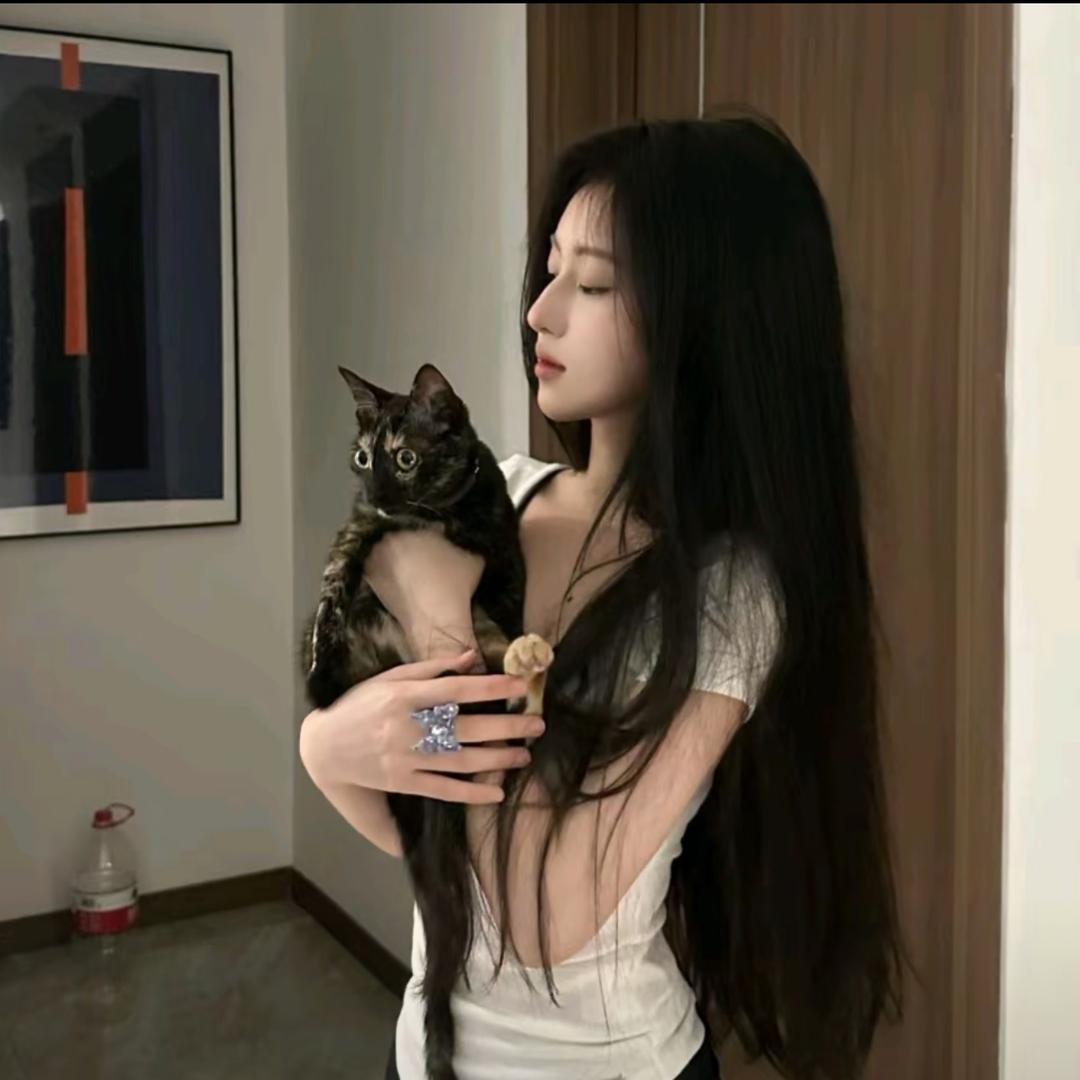 呆呆头