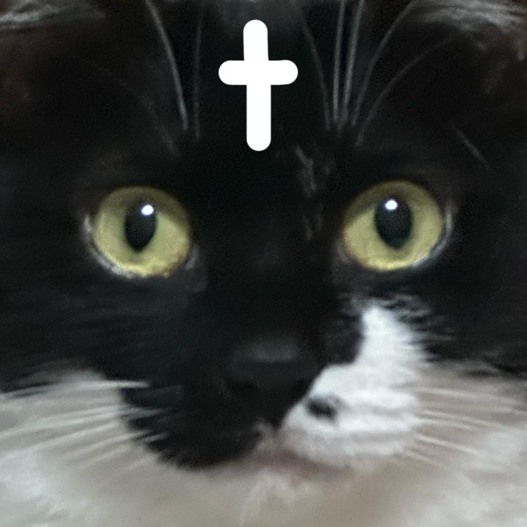 线虫之骆wy王者归来!!