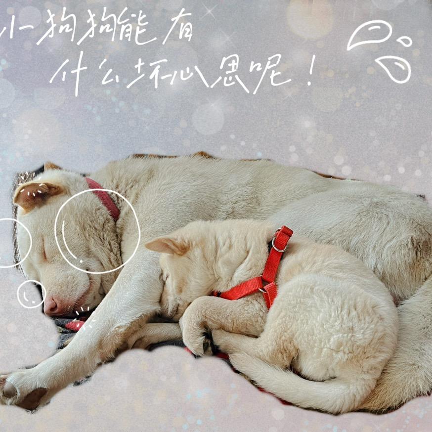 冮冮