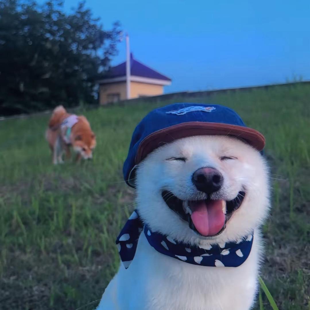 铁拿陈