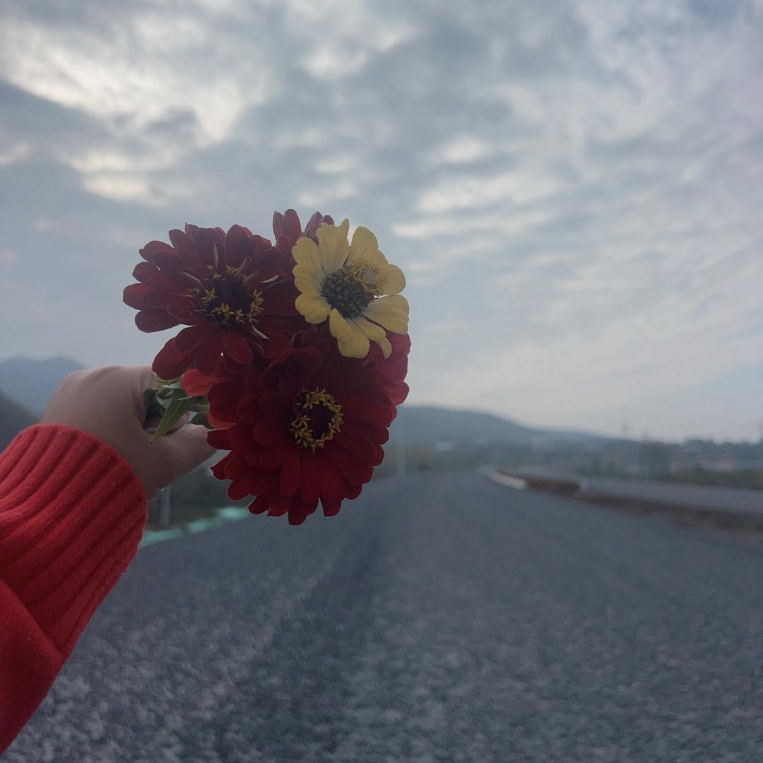 ꧁꫞零☆度꫞꧂