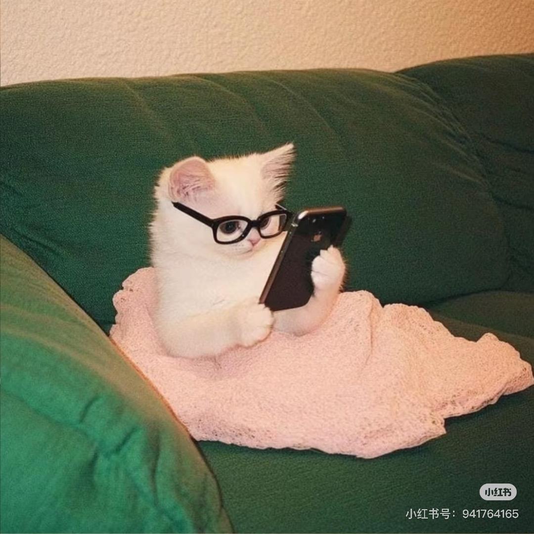 下次也不一定