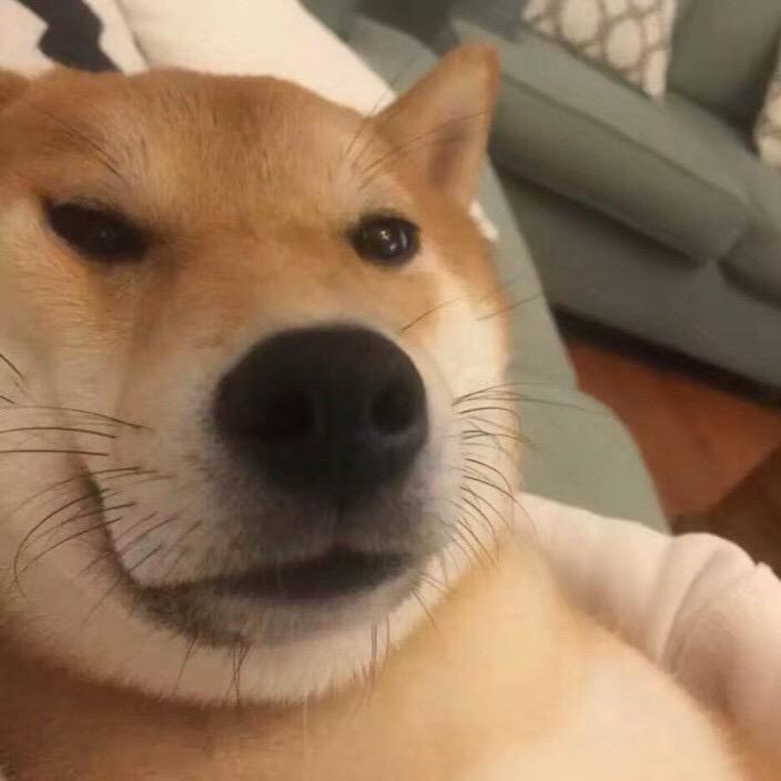 圆头圆脑圆肚皮.